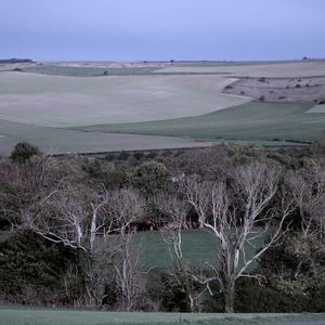 Plateau de champs derrière une rangée d'arbres - France  - collection de photos clin d'oeil, catégorie paysages